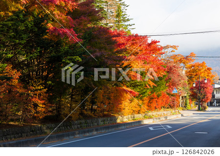 秋の信州　紅葉の長野県軽井沢町 126842026