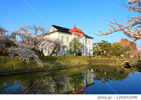 鶴岡公園　満開の桜 126842046