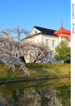 鶴岡公園　満開の桜 126842048