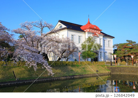 鶴岡公園 満開の桜 鶴岡公園 満開の桜 126842049