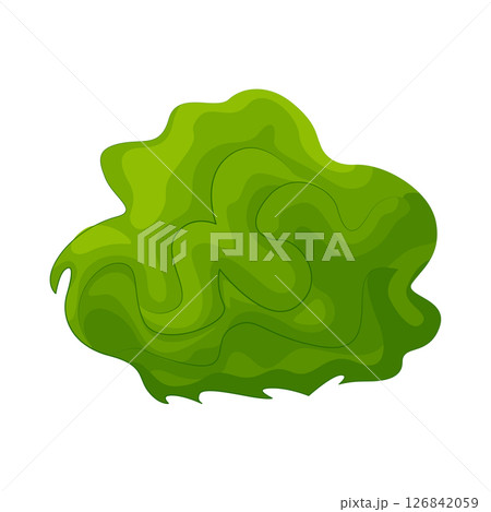 Grass Illustration Grass Illustration 126842059
