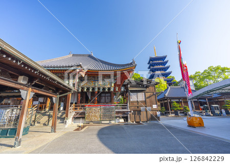 中山寺 本堂と五重塔(兵庫県宝塚市) 中山寺 本堂と五重塔(兵庫県宝塚市) 126842229