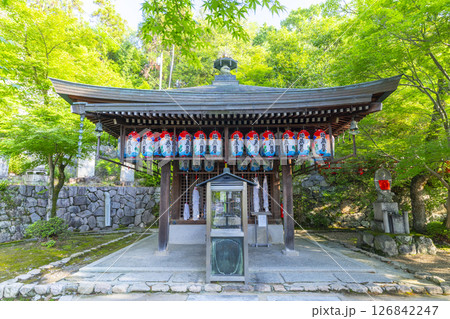 中山寺 新緑に包まれた子授け地蔵(兵庫県宝塚市) 中山寺 新緑に包まれた子授け地蔵(兵庫県宝塚市) 126842247