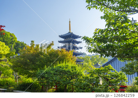 中山寺　五重塔（兵庫県宝塚市） 126842259