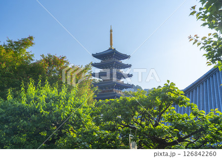 中山寺　五重塔（兵庫県宝塚市） 126842260