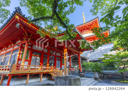 中山寺 阿弥陀堂と多宝塔(兵庫県宝塚市) 中山寺 阿弥陀堂と多宝塔(兵庫県宝塚市) 126842264
