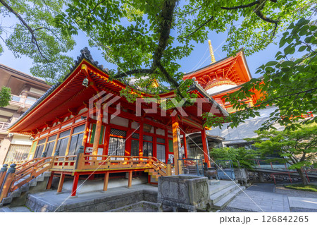 中山寺　阿弥陀堂と多宝塔（兵庫県宝塚市） 126842265