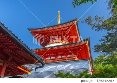 中山寺 多宝塔(兵庫県宝塚市) 中山寺 多宝塔(兵庫県宝塚市) 126842267