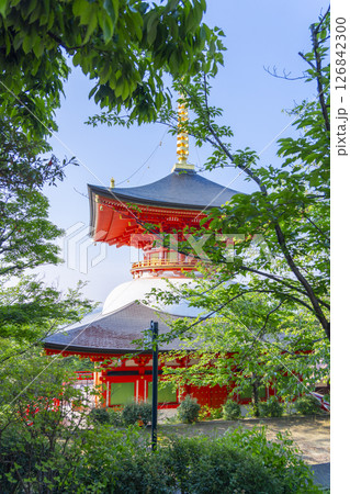 中山寺 多宝塔(兵庫県宝塚市) 中山寺 多宝塔(兵庫県宝塚市) 126842300