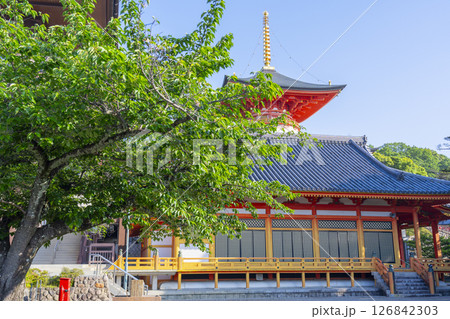 中山寺　阿弥陀堂と多宝塔（兵庫県宝塚市） 126842303
