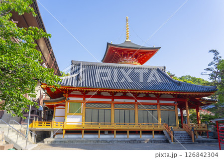 中山寺　阿弥陀堂と多宝塔（兵庫県宝塚市） 126842304