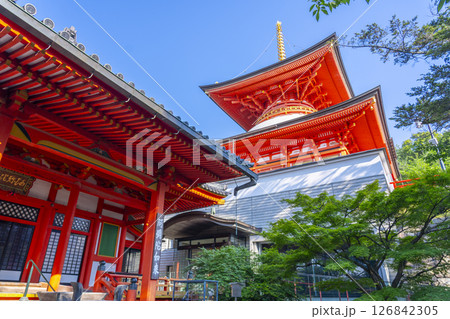 中山寺 阿弥陀堂と多宝塔(兵庫県宝塚市) 中山寺 阿弥陀堂と多宝塔(兵庫県宝塚市) 126842305