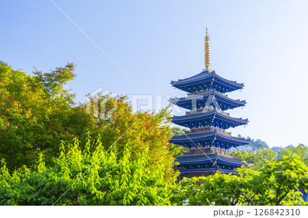 中山寺　五重塔（兵庫県宝塚市） 126842310