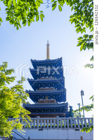 中山寺　五重塔（兵庫県宝塚市） 126842332
