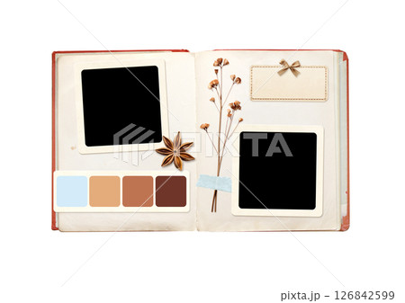 Nostalgic backdrop with moodboard pictures for scrapbooking. Horizontal background with open book, retro photo, dry pressed flowers, star anise, swatch color strip. Vintage style mood board layout Nostalgic backdrop with moodboard pictures for scrapbooking. Horizontal background with open book, retro photo, dry pressed flowers, star anise, swatch color strip. Vintage style mood board layout 126842599