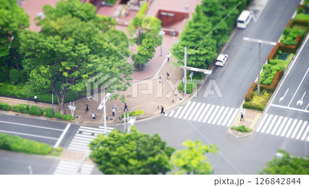 新緑の季節の街並み　チルトシフト 126842844