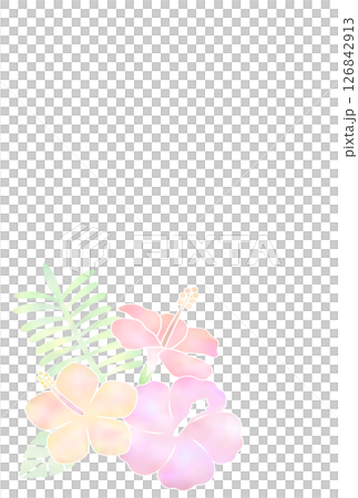 芙蓉背景,光(明信片)k-3 芙蓉背景,光(明信片)k-3 126842913