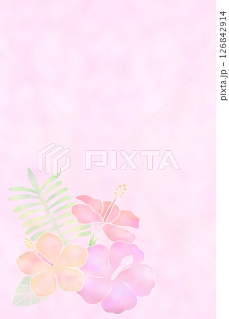 ハイビスカスの背景・薄(ハガキ)k-4 ハイビスカスの背景・薄(ハガキ)k-4 126842914