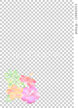 芙蓉背景（明信片）l-1 126842915