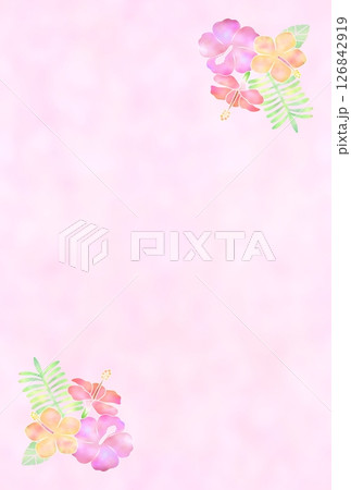 ハイビスカスの背景(ハガキ) m-2 ハイビスカスの背景(ハガキ) m-2 126842919