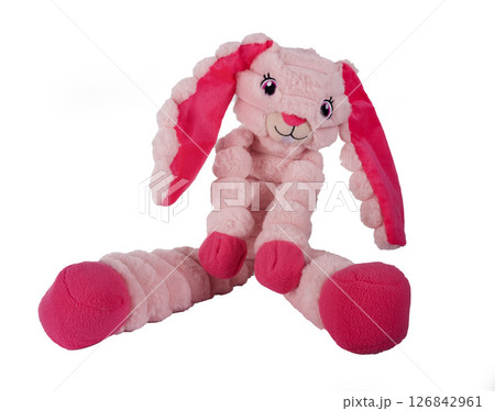 toy for dog 126842961