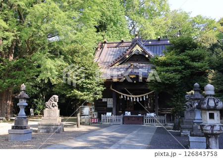 埼玉県加須市騎西町の玉敷神社の風景 埼玉県加須市騎西町の玉敷神社の風景 126843758