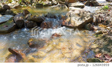 Natural Stream with Flowing Water and Rocks in Tropical Forest Natural Stream with Flowing Water and Rocks in Tropical Forest 126843959