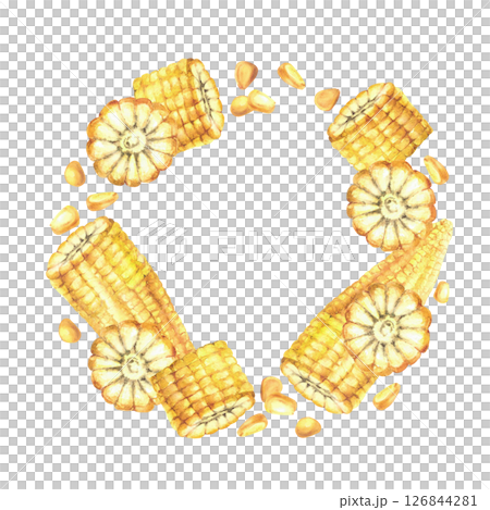 Sweet Corn wreath Golden maize kernels, whole and cut corncobs circle frame. Watercolor realistic yellow corn plant round template. Hand drawn illustration for food oil label. Isolated from background 126844281