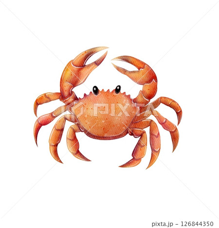 Crab illustration in watercolor style 126844350