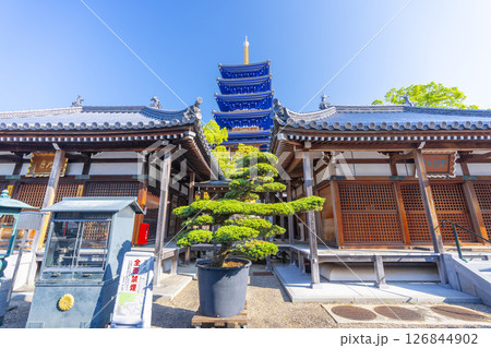 中山寺 護摩堂と開山堂の間に見える五重塔(兵庫県宝塚市) 中山寺 護摩堂と開山堂の間に見える五重塔(兵庫県宝塚市) 126844902