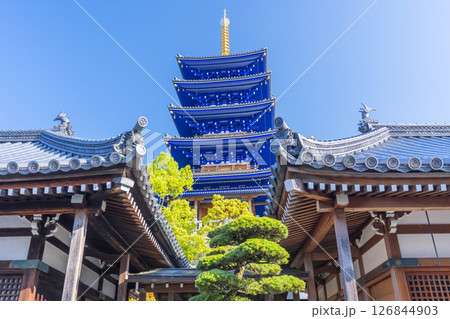 中山寺 護摩堂と開山堂の間に見える五重塔(兵庫県宝塚市) 中山寺 護摩堂と開山堂の間に見える五重塔(兵庫県宝塚市) 126844903