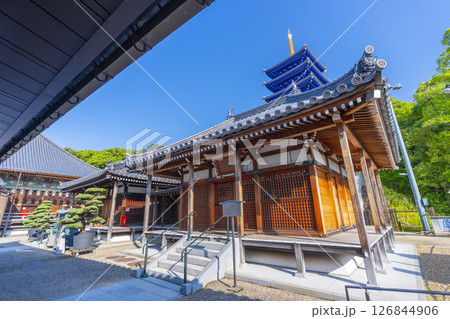 中山寺 護摩堂と開山堂と五重塔(兵庫県宝塚市) 中山寺 護摩堂と開山堂と五重塔(兵庫県宝塚市) 126844906