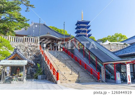 中山寺　本堂と五重塔（兵庫県宝塚市） 126844919