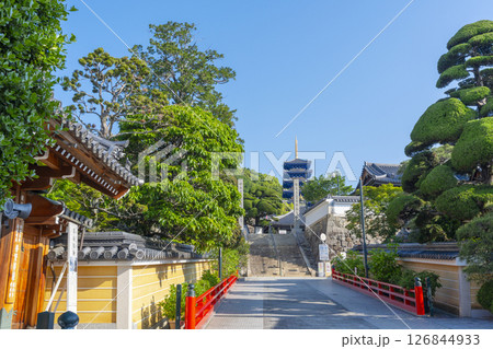 紫雲山中山寺　本堂へ伸びる参道（兵庫県宝塚市） 126844933