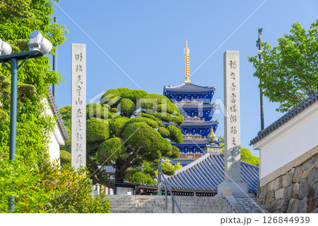 紫雲山中山寺　本堂へ伸びる参道と五重塔（兵庫県宝塚市） 126844939