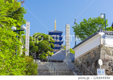 紫雲山中山寺　本堂へ伸びる参道と五重塔（兵庫県宝塚市） 126844940