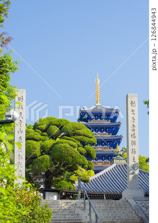 紫雲山中山寺　本堂へ伸びる参道と五重塔（兵庫県宝塚市） 126844943