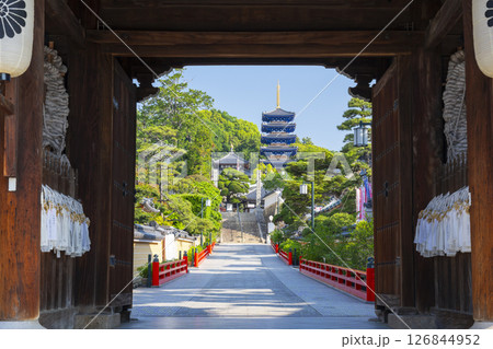 中山寺　山門から見える五重塔（兵庫県宝塚市） 126844952