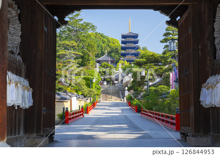 中山寺　山門から見える五重塔（兵庫県宝塚市） 126844953