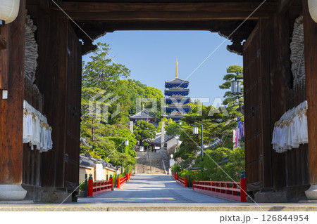 中山寺　山門から見える五重塔（兵庫県宝塚市） 126844954