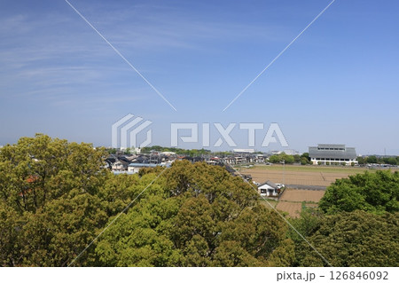 埼玉県加須市騎西町の田園風景 126846092