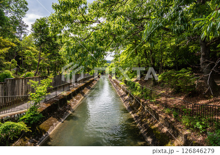琵琶湖疏水　京都市 126846279