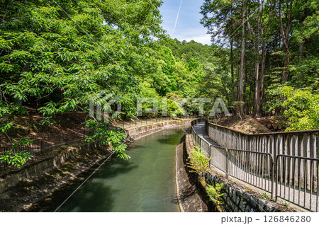 琵琶湖疏水　京都市 126846280