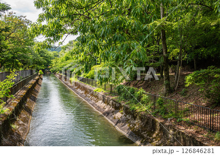 琵琶湖疏水　京都市 126846281
