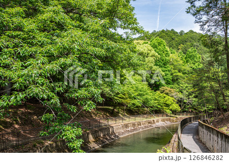琵琶湖疏水　京都市 126846282