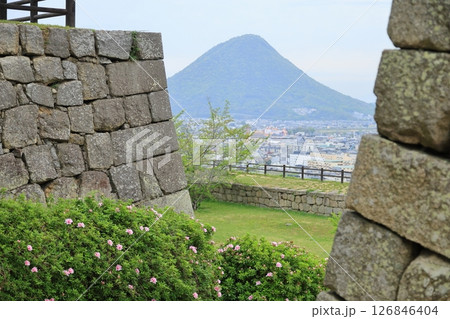 丸亀城の石垣と讃岐富士 丸亀城の石垣と讃岐富士 126846404