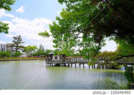 京都 長岡京市 八条ヶ池の六角舎と水上橋(長岡天満宮、晩春) 京都 長岡京市 八条ヶ池の六角舎と水上橋(長岡天満宮、晩春) 126846460