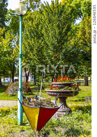 Brest City Park green nature art and landscape in Belarus. 126846595