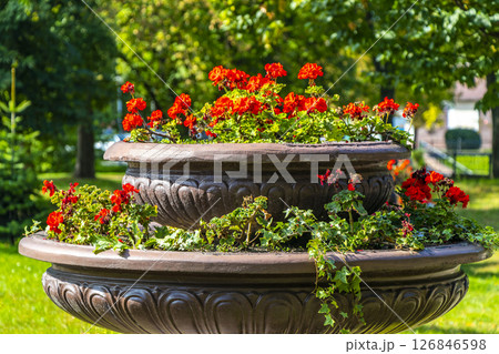 Brest City Park green nature art and landscape in Belarus. Brest City Park green nature art and landscape in Belarus. 126846598