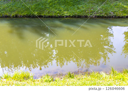 Brest City Park Belarus green river lake and pond water. 126846606